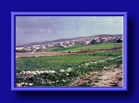 Thumbnail Fields surrounding Bethlehem
